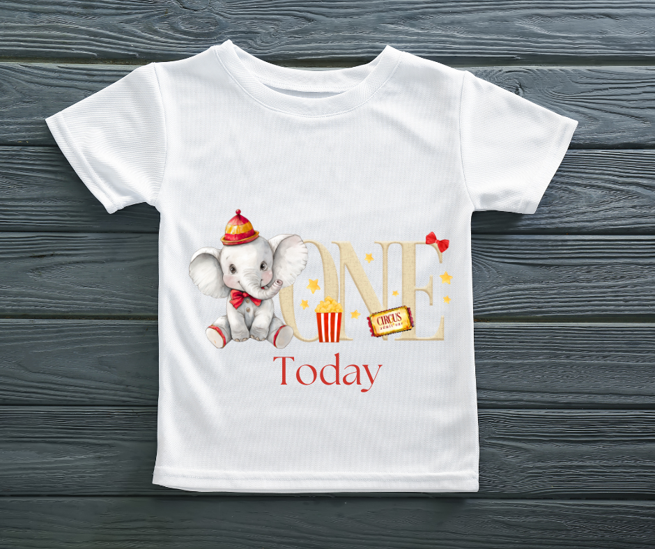 ELEPHANT CIRCUS BIRTHDAY TSHIRT