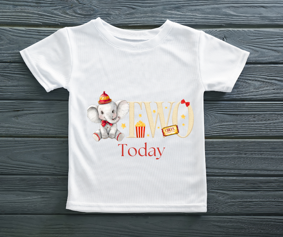ELEPHANT CIRCUS BIRTHDAY TSHIRT