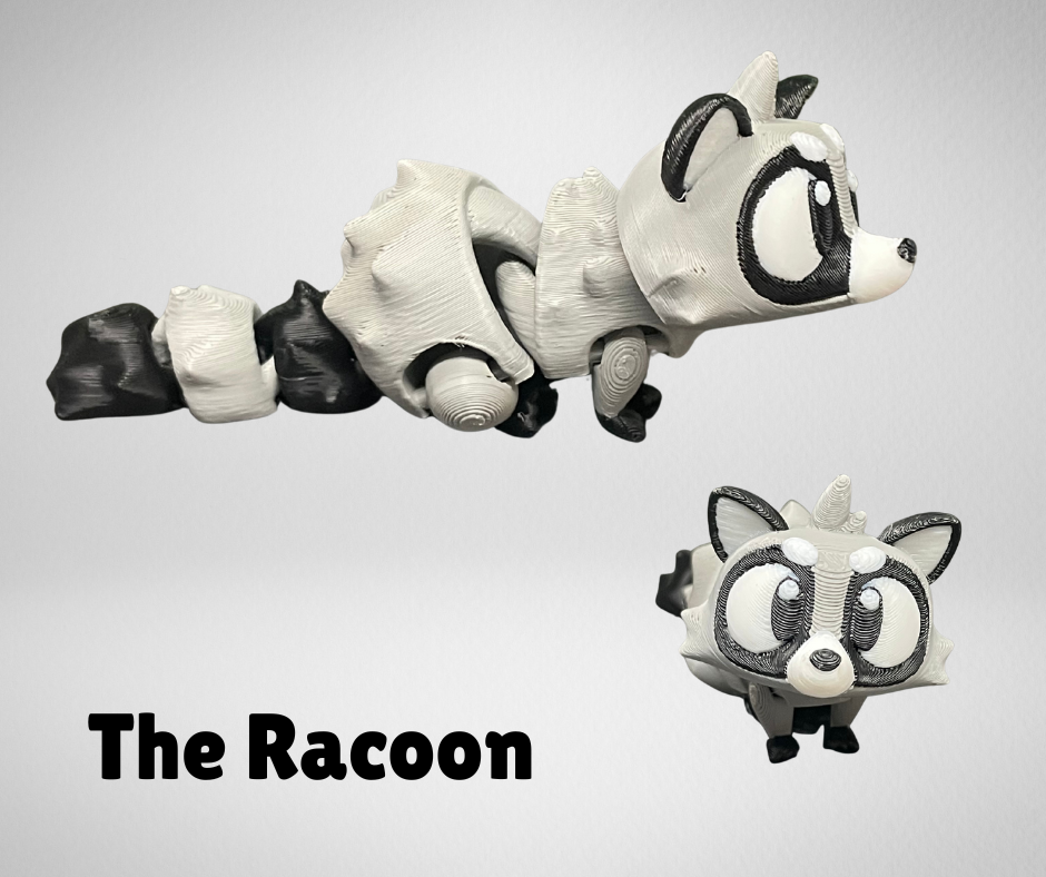 THE RACOON