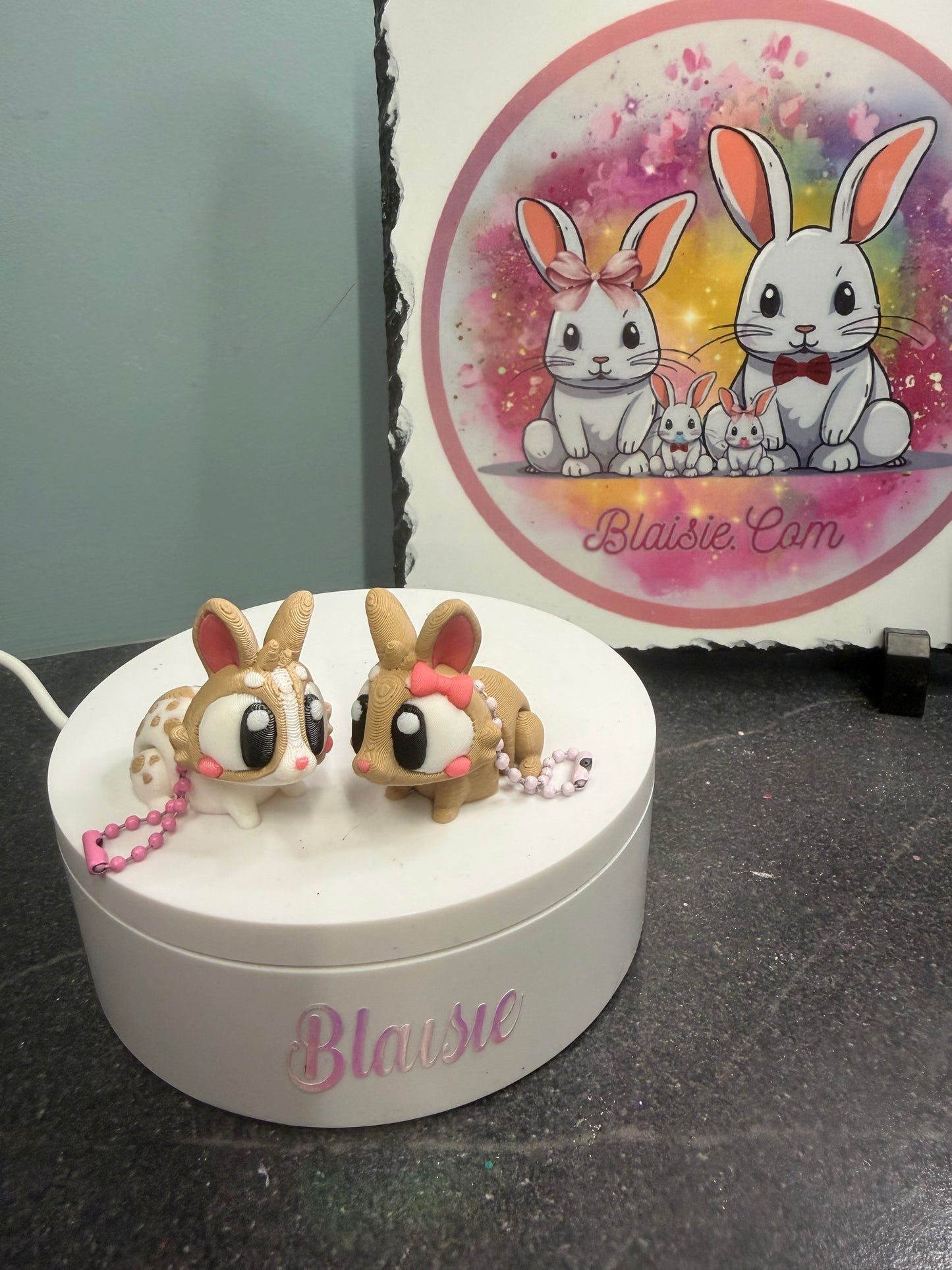 bunny