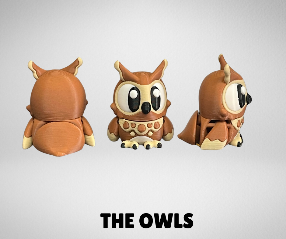 THE OWL PARK WITH 1 OWL AND 1 BARN OWL