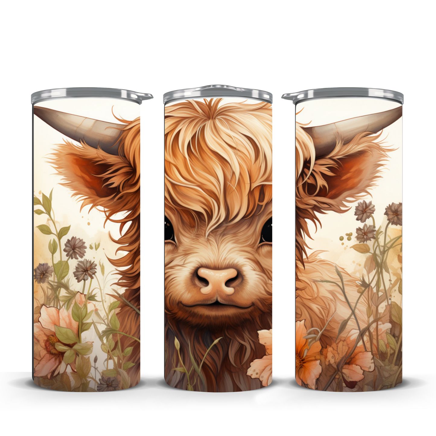 highland cow