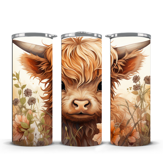 highland cow