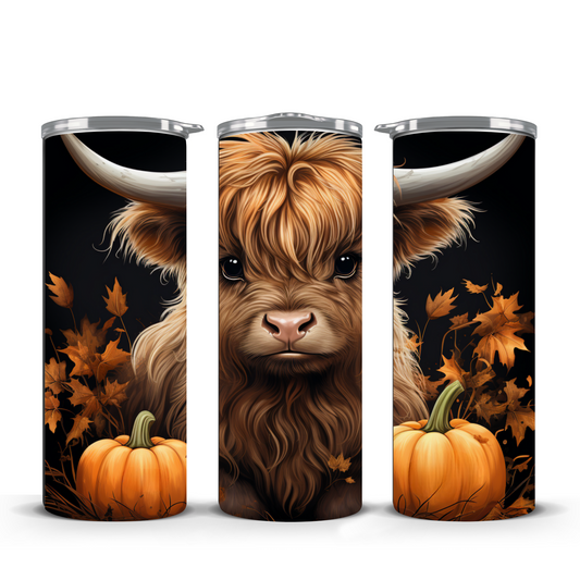 highland cow