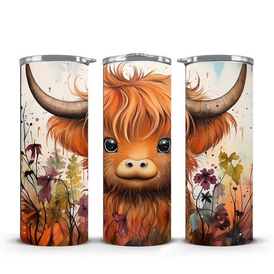 highland cow