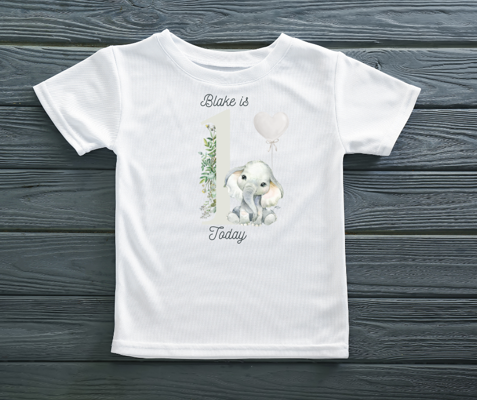 GREY ELEPHANT PERSONALISED BIRTHDAY T SHIRT