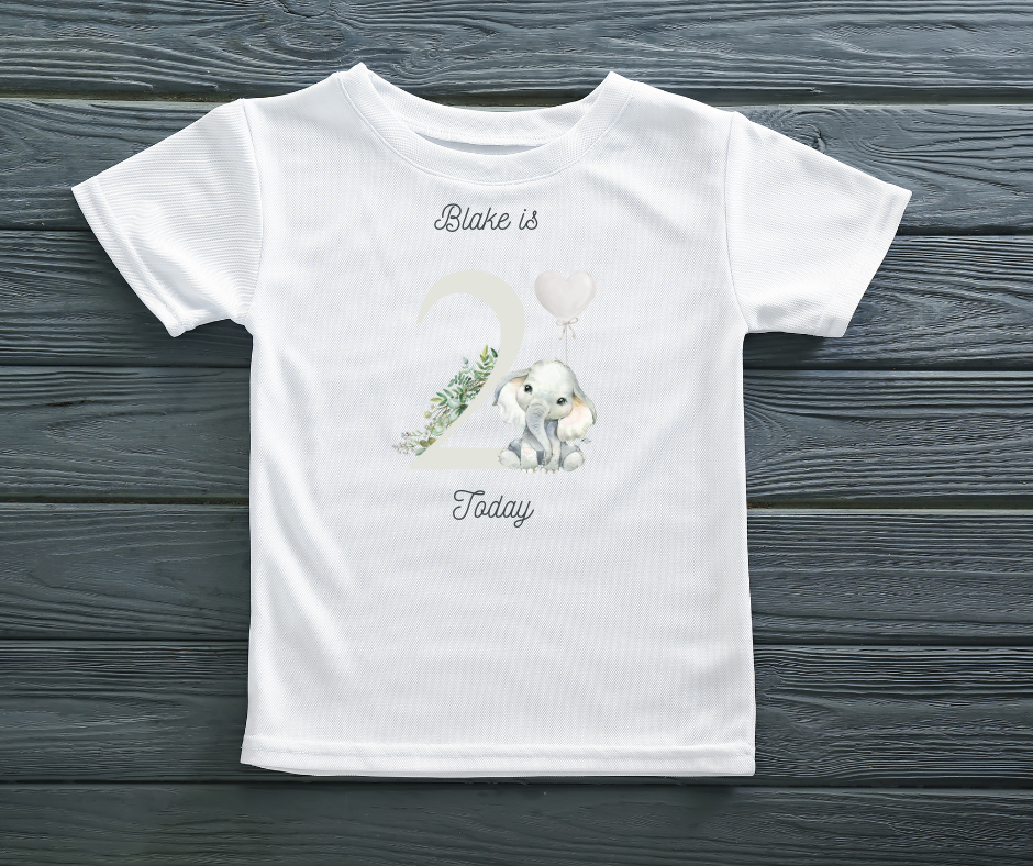 GREY ELEPHANT PERSONALISED BIRTHDAY T SHIRT