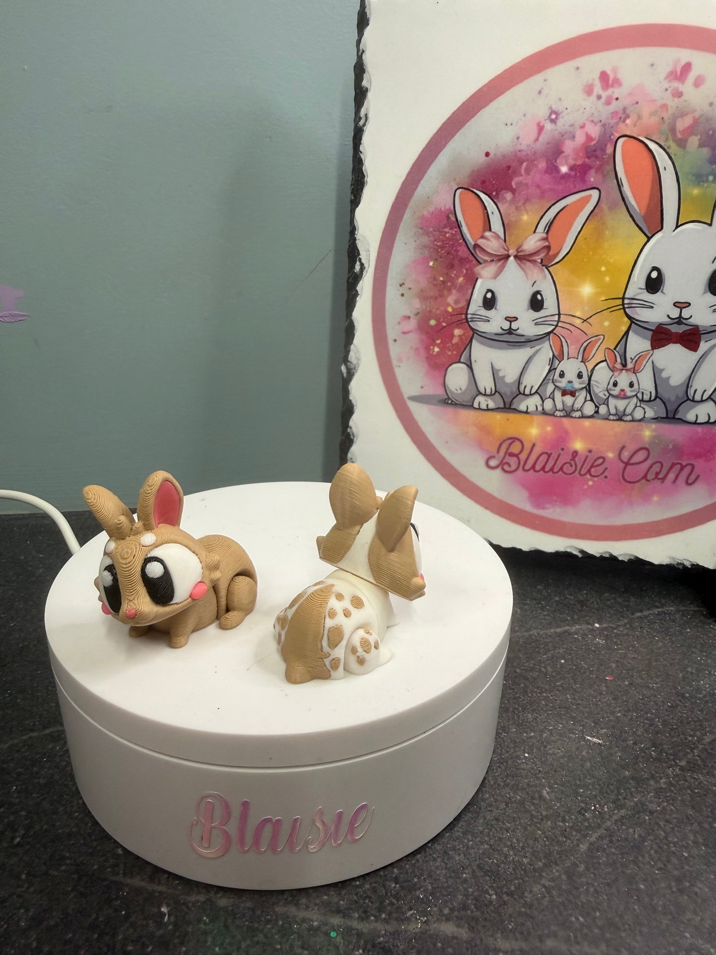 bunny